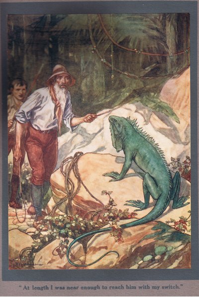 At Length I Was Near Enough to Reach Him with My Switch by Thomas Heath Robinson