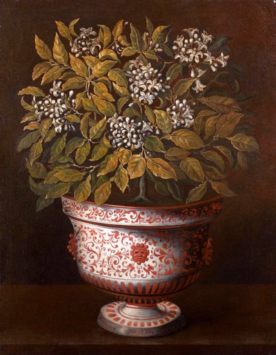 Terracotta Vase with an Orange Bush in Flower by Thomas Hiepes