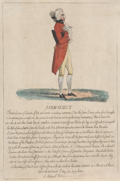 A New Insect by Thomas Rowlandson