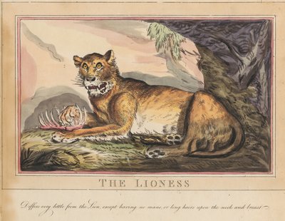 Set of Eight with Title-Page. 