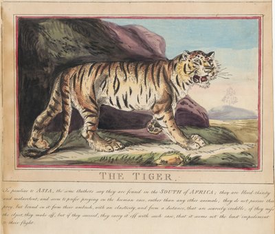 Set of eight with title-page. 