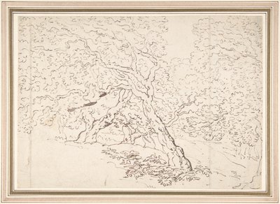 Study of Trees by Thomas Rowlandson