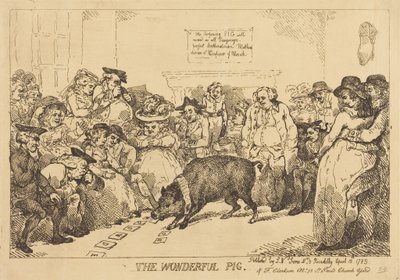 The Wonderful Pig by Thomas Rowlandson