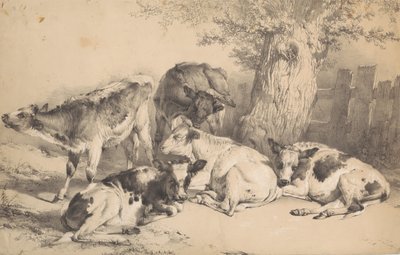 Cattle by Thomas Sidney Cooper