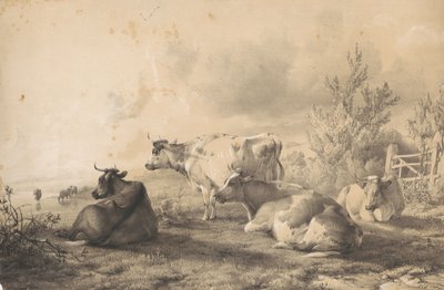 Cattle Lying near a Fence by Thomas Sidney Cooper