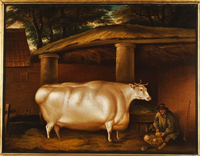The White Heifer that Travelled, with a man slicing turnips in a stable yard, 1811 by Thomas Weaver