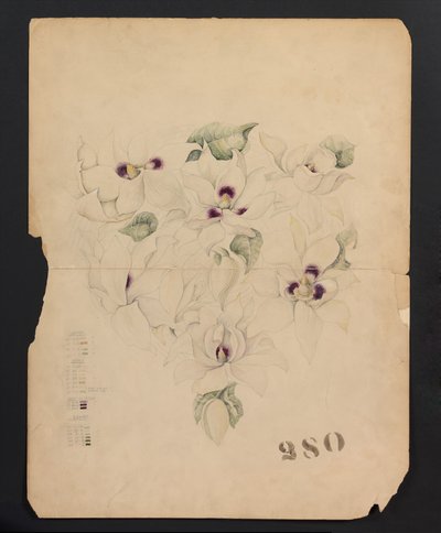 Design Drawing, c.1893 by Tiffany & Company