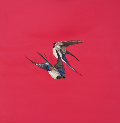Swirl-Red by Tim Hayward