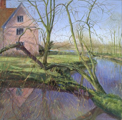 Sprouting Willow Tree by Timothy Easton