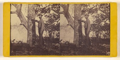 Bowditch by Timothy H. O