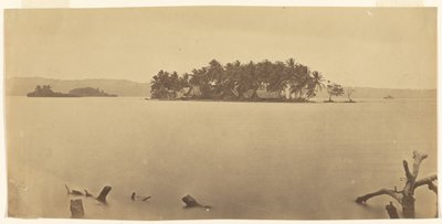 [Isthmus of Darién (Panama)] by Timothy H. O