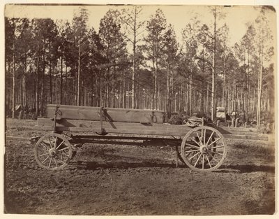 [Wagon with Oblong Box Possibly Carrying Guns or Rifles] by Timothy H. O