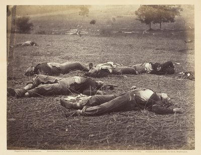 Field Where General Reynolds Fell, Gettysburg by Timothy O