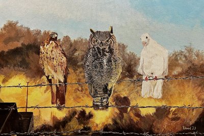 Three Birds Barbed Wire by Tom Blood