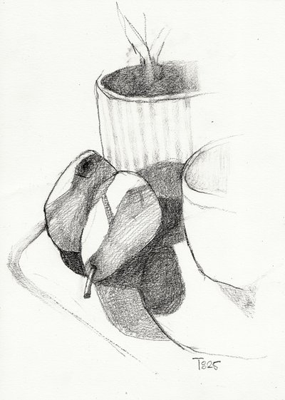Pears Still Life Sketch by Tore Bahnson