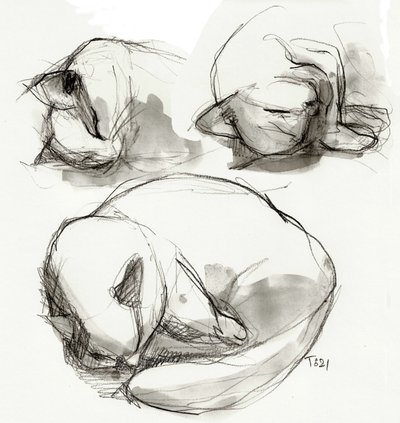 Sleeping Cat Studies by Tore Bahnson