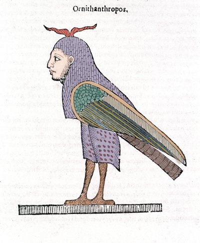 Ornithantropos. Bird with Human Head. Ulisse Aldrovandi “De Monstrorum Historia” by Ulisse Aldrovandi