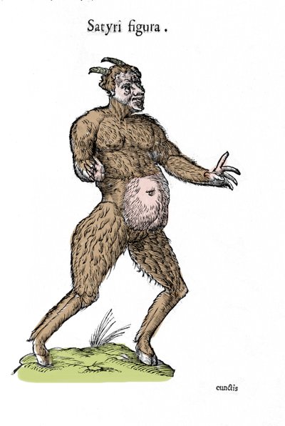 Representation of a satyr. Plate of a Natural History manuscript by Ulisse Aldrovandi (1522-1605) on monsters by Ulisse Aldrovandi