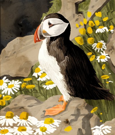 Peaceful Puffin by Uma Gokhale