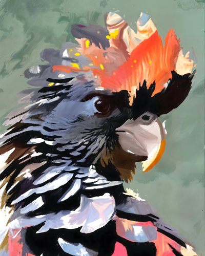 Vibrant Black Cockatoo by Uma Gokhale