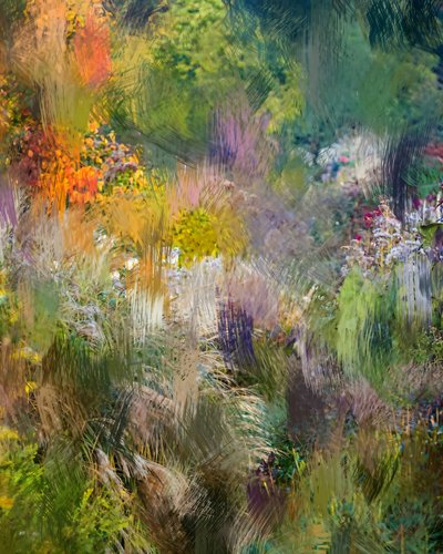 Vibrant Garden Abstract by Uma Gokhale