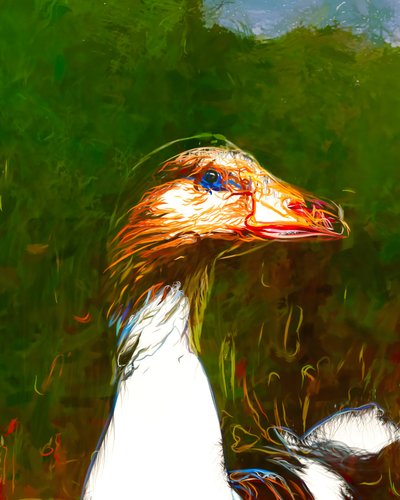 Vibrant Goose Portrait by Uma Gokhale