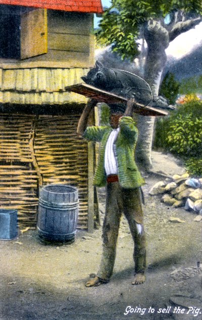 A Man on His Way to Market to Sell a Pig, Jamaica by Unbekannt