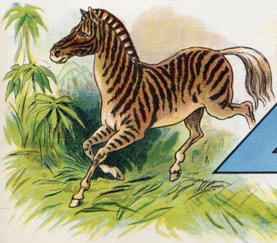 A zebra. Engraving in "ABC L