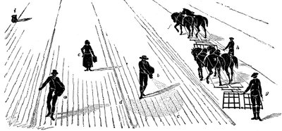 Crop Rotation: Sowing and Harrowing Corn, 1855 by Unbekannt