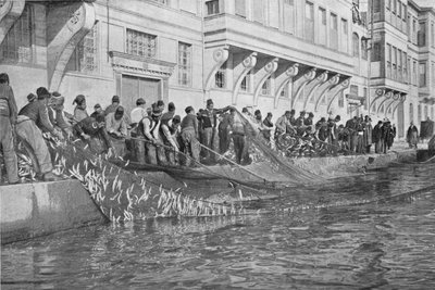Hauling in a Grippo of 15000 Fish at Emirgian on the Bosphorus by Unbekannt