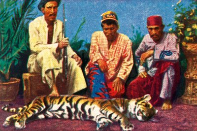 Hunters with dead tiger in Sumatra by Unbekannt