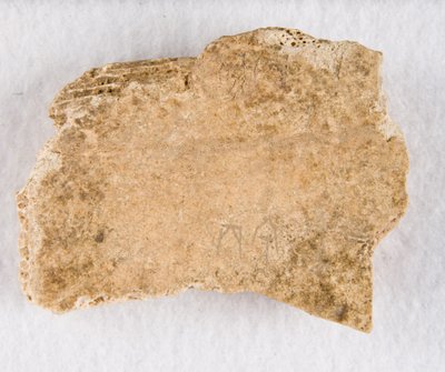 Inscribed Bone Fragment Oracle Bone, Late Shang Dynasty by Unbekannt