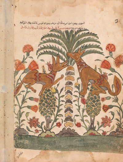 Kalila Upbraiding Dimna, Folio from a Kalila wa Dimna, 18th Century by Unbekannt