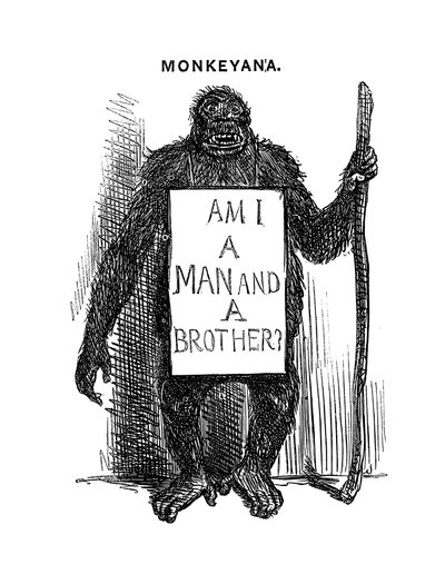 Monkeyana: Am I a Man and a Brother, 1861 by Unbekannt