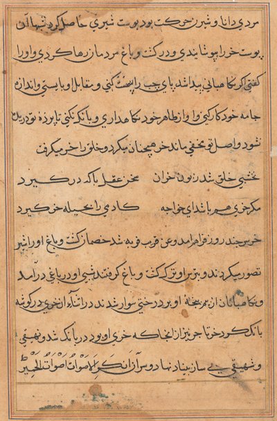 Page from Tales of a Parrot Tuti-nama: text page by Unbekannt
