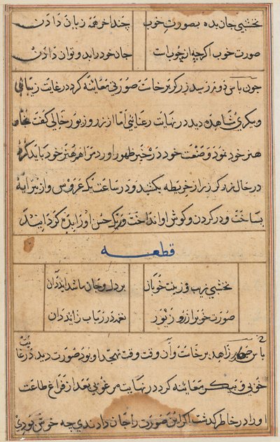 Page from Tales of a Parrot Tuti-nama: text page, c. 1560 by Unbekannt
