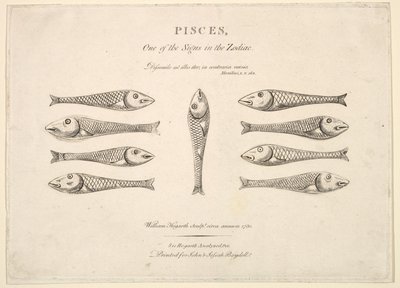 Pisces: Hogarth