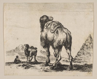 Camel Viewed from Behind with Pyramid at Right, from Various Animals by Unbekannt