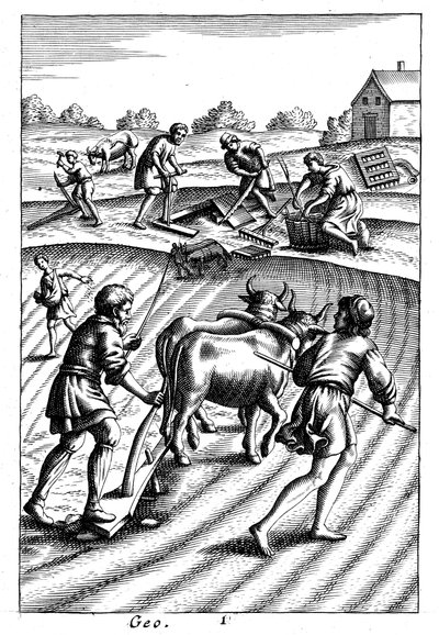 Ploughing with oxen, sowing seed broadcast and harrowing by Unbekannt