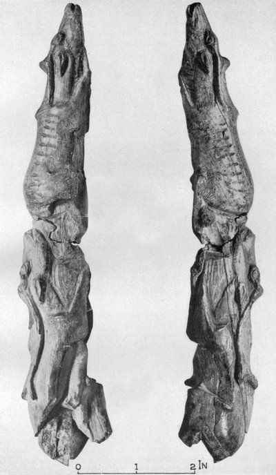 Point of Mammoth Tusk Carved with Reindeer, from Montastruc, Bruniquel, France by Unbekannt