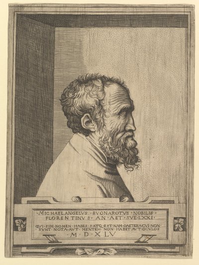 Portrait of Michelangelo in Profile Facing Right Set Within a Recess, 1545 by Unbekannt