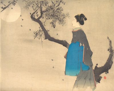 Profile View of a Woman Strolling in the Moonlight by Unbekannt