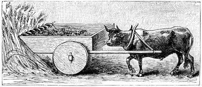 Reconstruction of Reaping Machine Used in Gaul in Ancient Roman Times, as Described by Pliny by Unbekannt