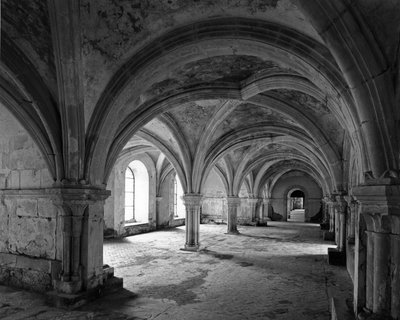 Romanesque architecture: view of the capitular hall of the Cistercian abbey of Fontenay founded in 1118 (Cote d