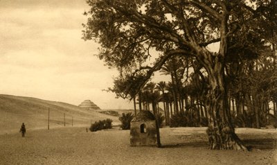 Saqqara - The Step Pyramid Seen from the Sycomore by Unbekannt