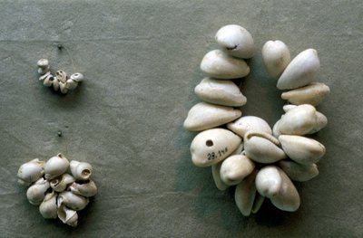 Strings of Cowrie Shells by Unbekannt