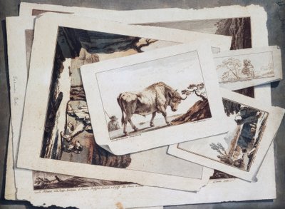 Study of Drawings and Prints by Unbekannt