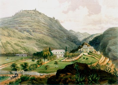 The Briars, St Helena, Early 19th Century by Unbekannt