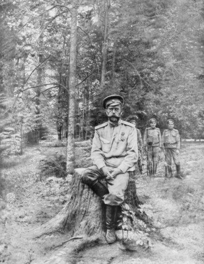 Tsar Nicholas II in Exile, Tobolsk, Siberia, 13 August 1917 by Unbekannt