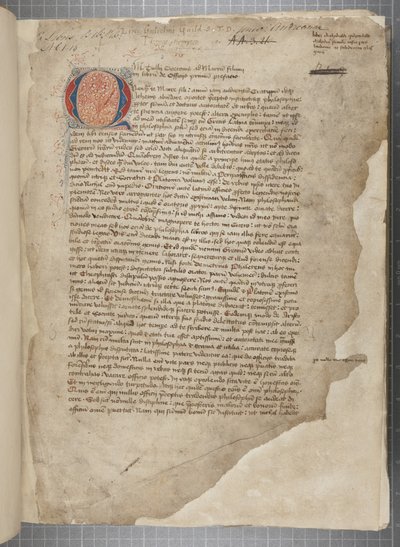 Transcript of the Philosophical Works of Marcus Tullius Cicero, c.1480 by Unbekannt
